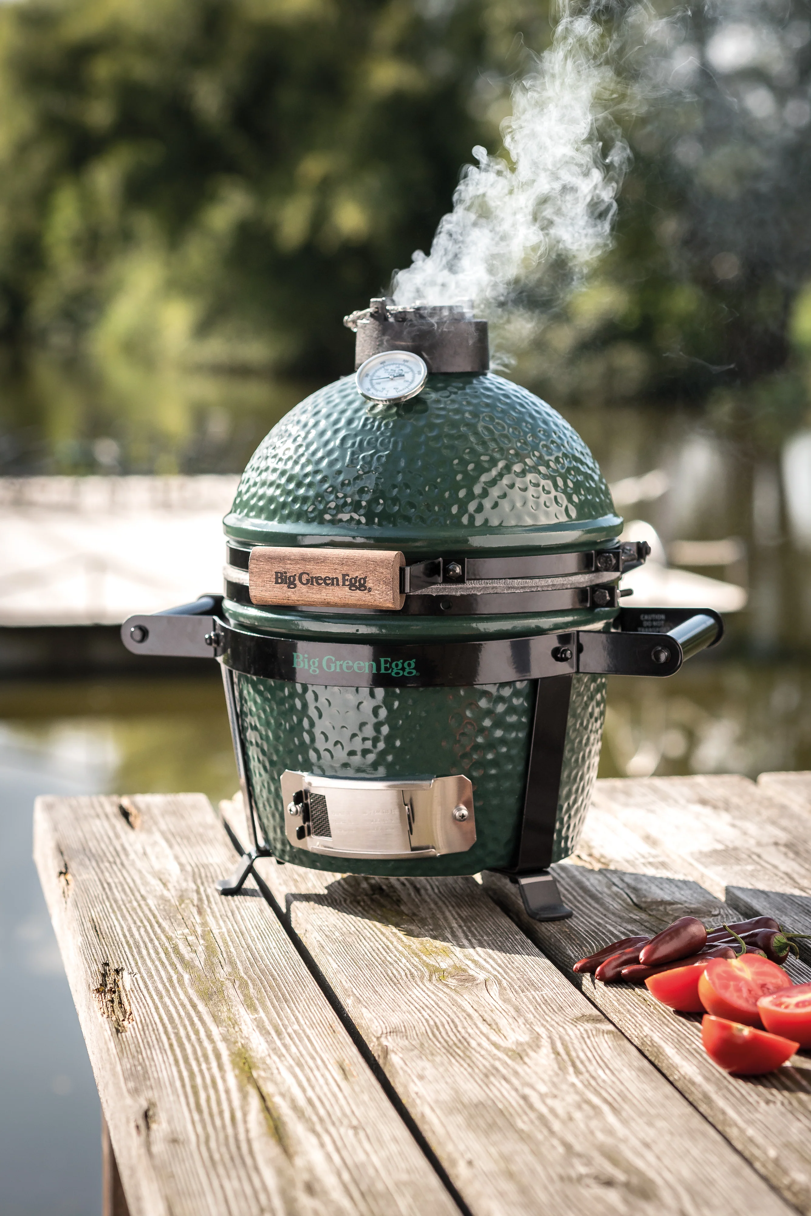Big Green Egg Mini - Barbecue a Carbone - Image 3