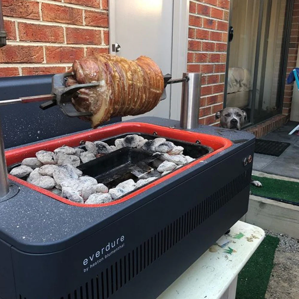 Barbecue a carbone Everdure FUSION™ - Image 17