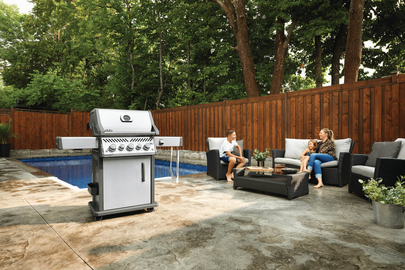 Napoleon Rogue PRO S 425 - Barbecue a Gas - Image 4