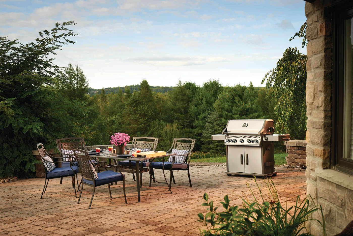 Napoleon Rogue RSE 625 RSIB - Barbecue a Gas - Image 4
