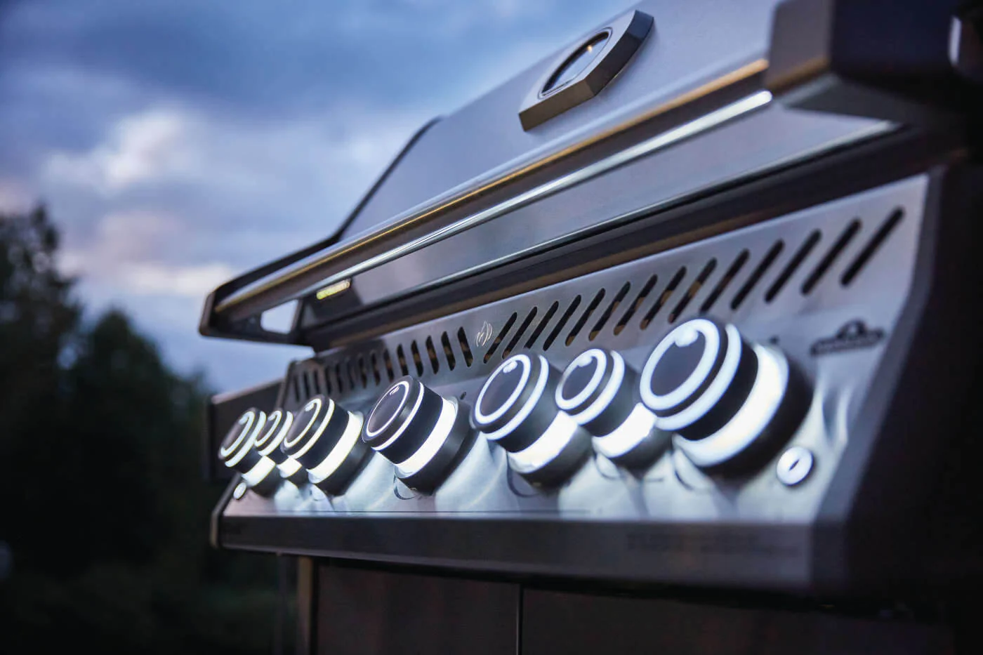 Napoleon Rogue RSE 625 RSIB - Barbecue a Gas - Image 8