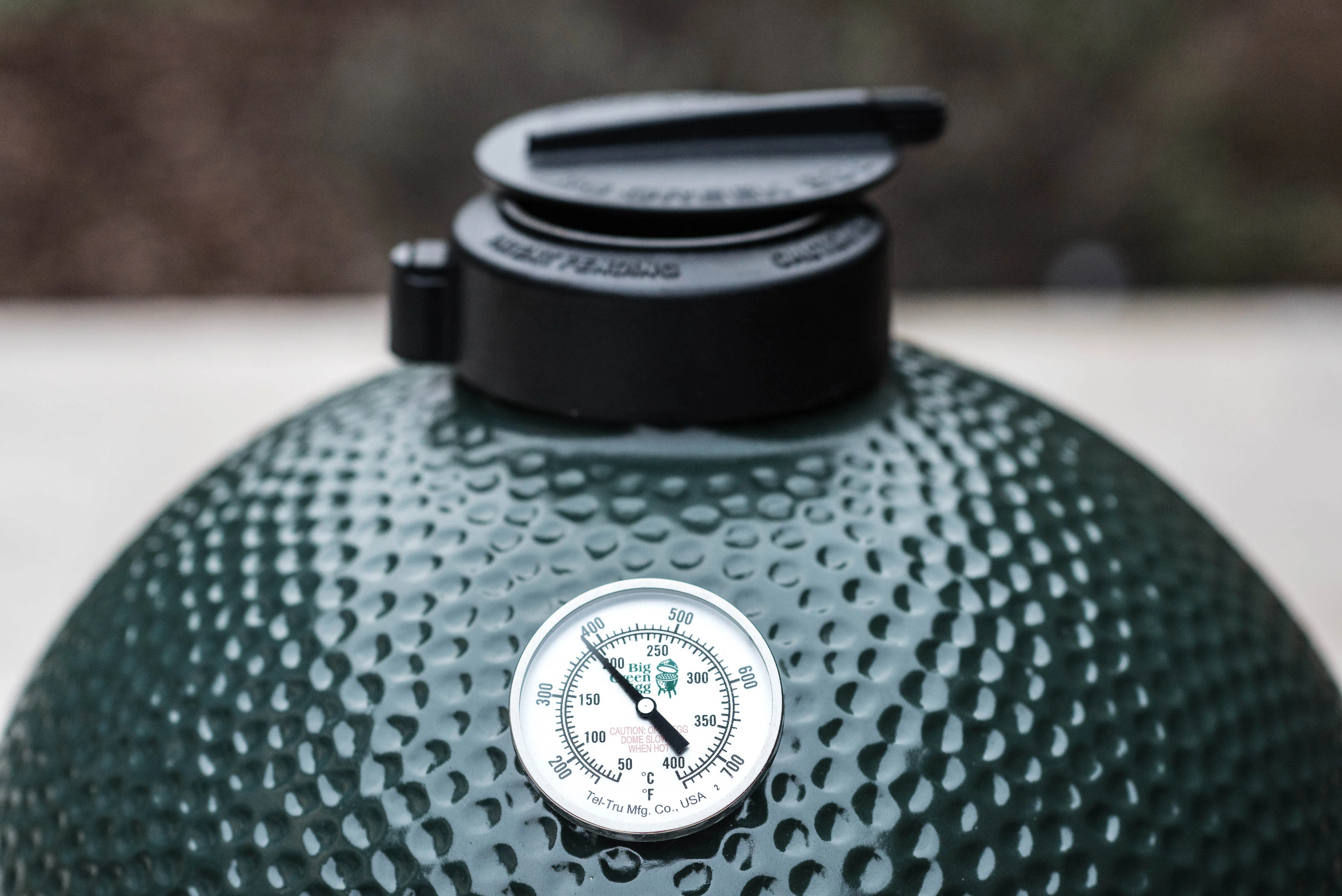 Big Green Egg BBQ LAB Platinum Edition - Image 9