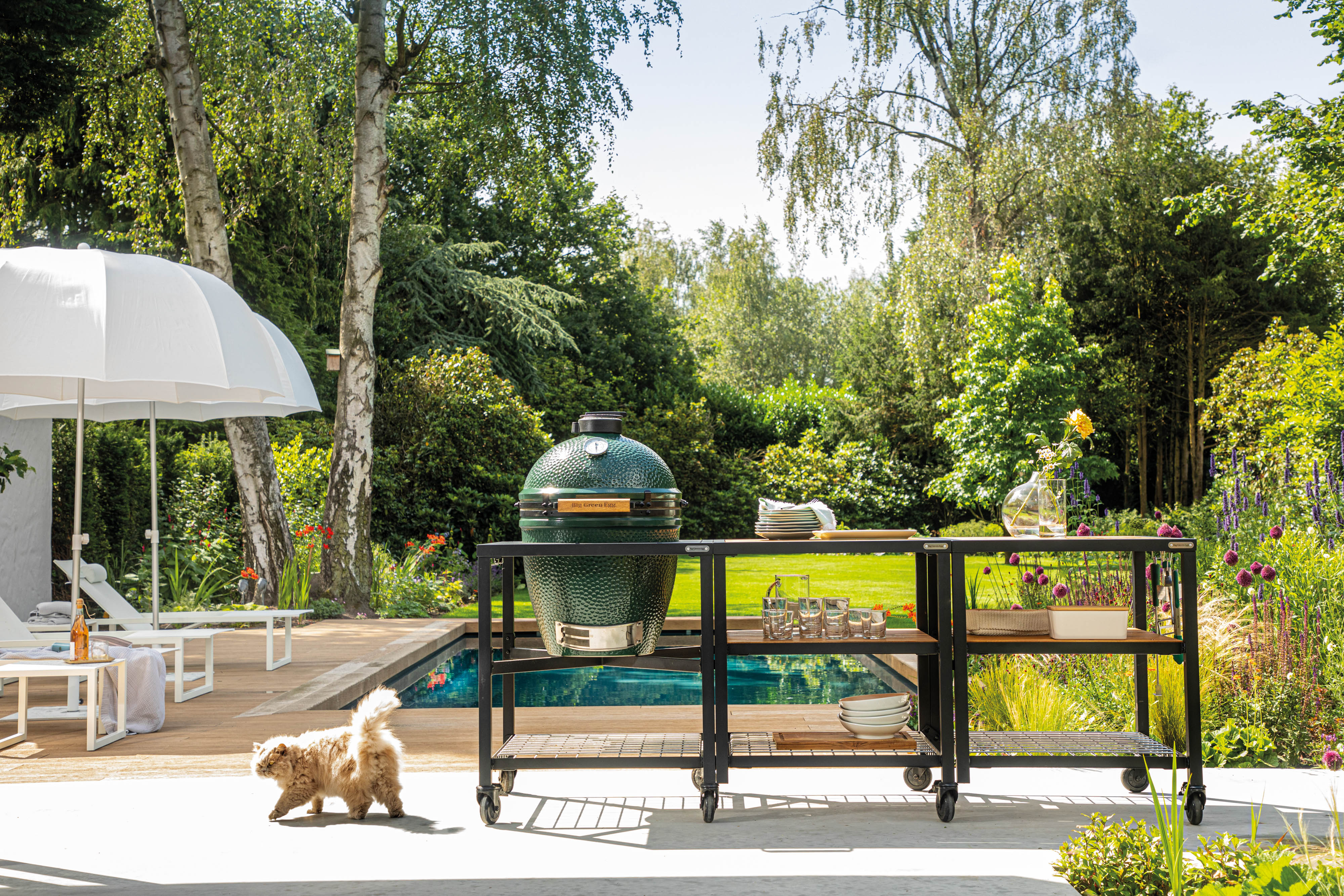 Big Green Egg BBQ LAB Frame Edition - Image 10
