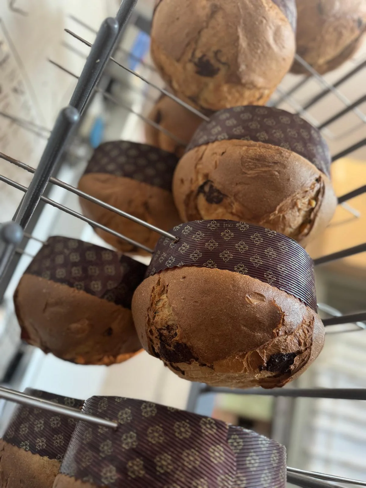EVARISTO - IL PANETTONE CHE NON HAI MAI VISTO - Image 6